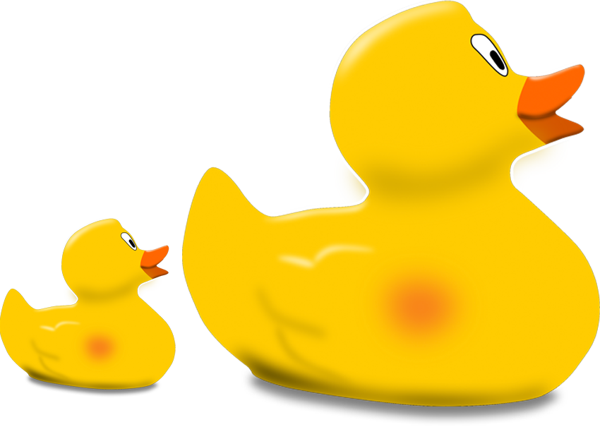 Rubber duckies following